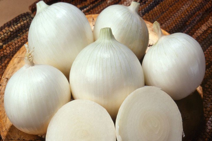 Onion White (সাদা পেঁয়াজ)
