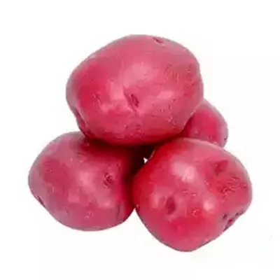 Red Potato Cardinal (লাল আলু)